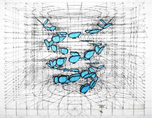 Rafael Araujo – Blue Morpho Double Helix