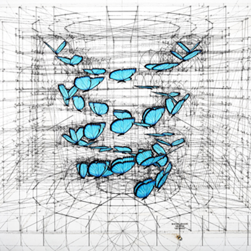 Rafael Araujo – Blue Morpho Double Helix